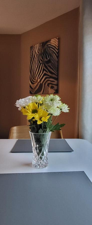 Cosy Stays Daybrook Nottingham Eksteriør billede